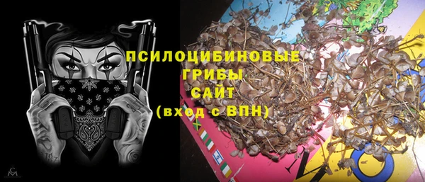 спиды Аркадак
