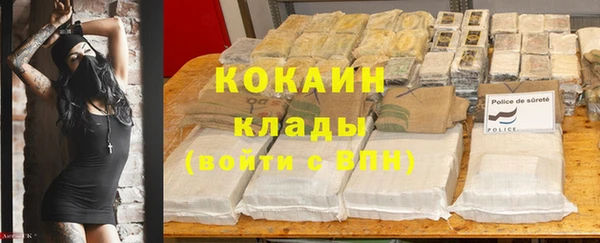 спиды Аркадак
