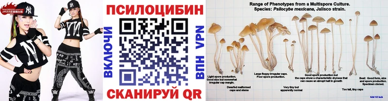 Псилоцибиновые грибы MAGIC MUSHROOMS  Дюртюли 