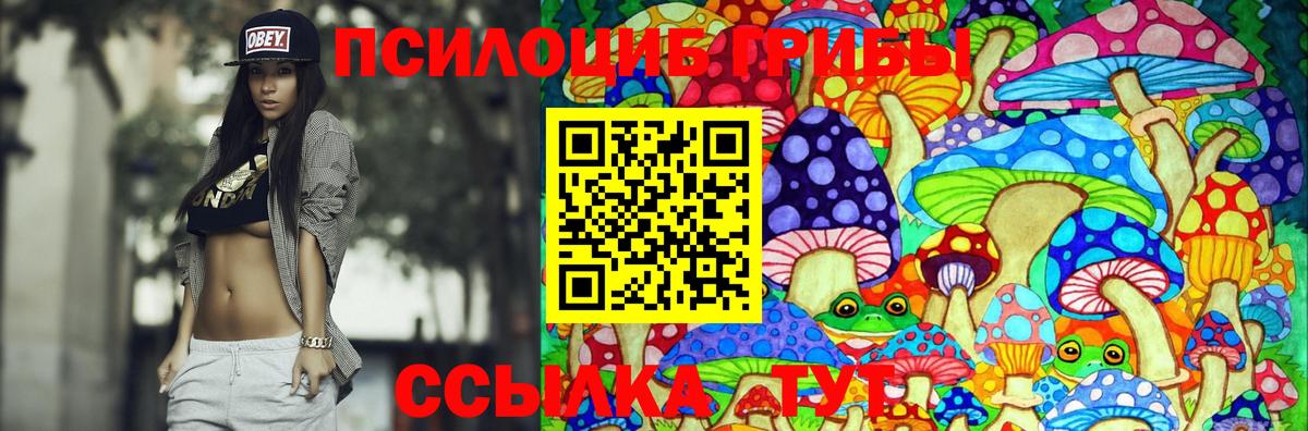 Псилоцибиновые грибы GOLDEN TEACHER Дюртюли